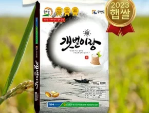 가성비최고 2023년 햅쌀 농협 갯벌이랑 쌀 20kg_품종새청무 베스트상품