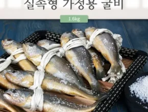 가성비최고 법성포참맛굴비 소장대 50g65마리 베스트10